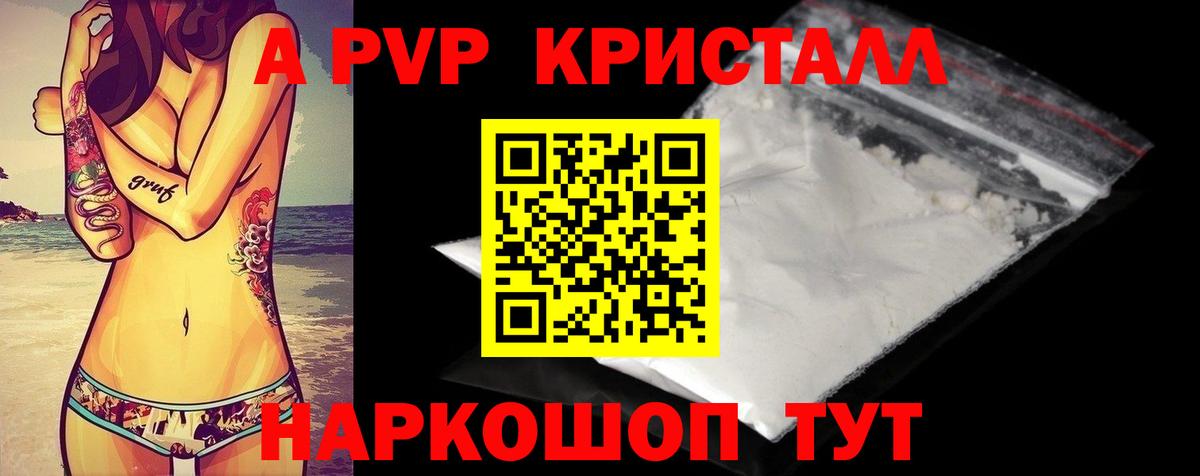 A PVP СК КРИС Алейск